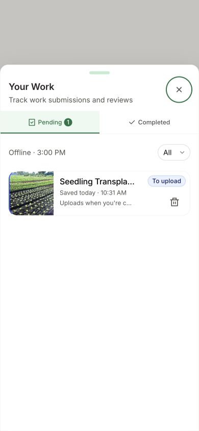 Your Work while offline, showing one Seedling Transplant record marked To upload and the saved time.